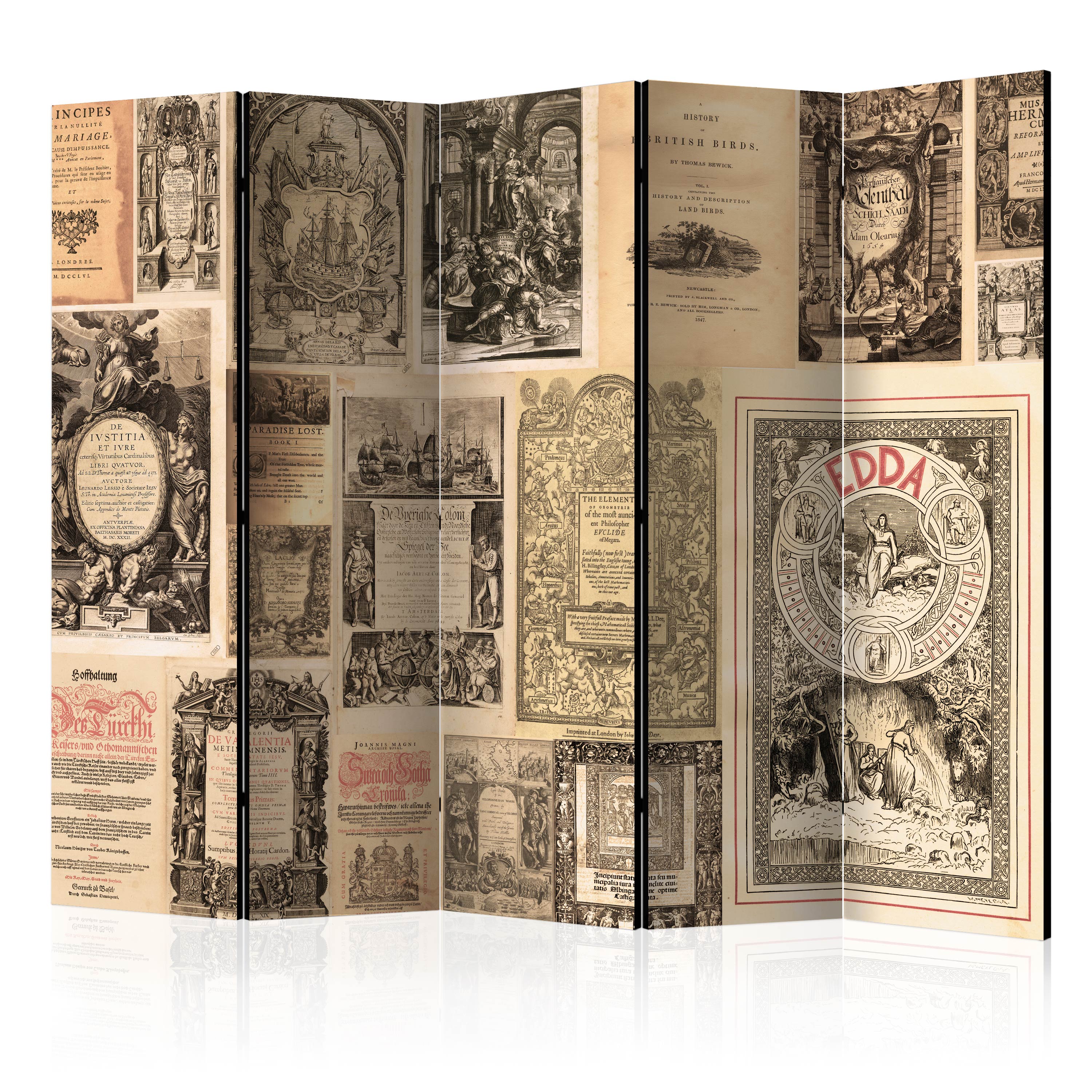 Rumsavdelare Arkiio Vintage Books II 225x172 cm
