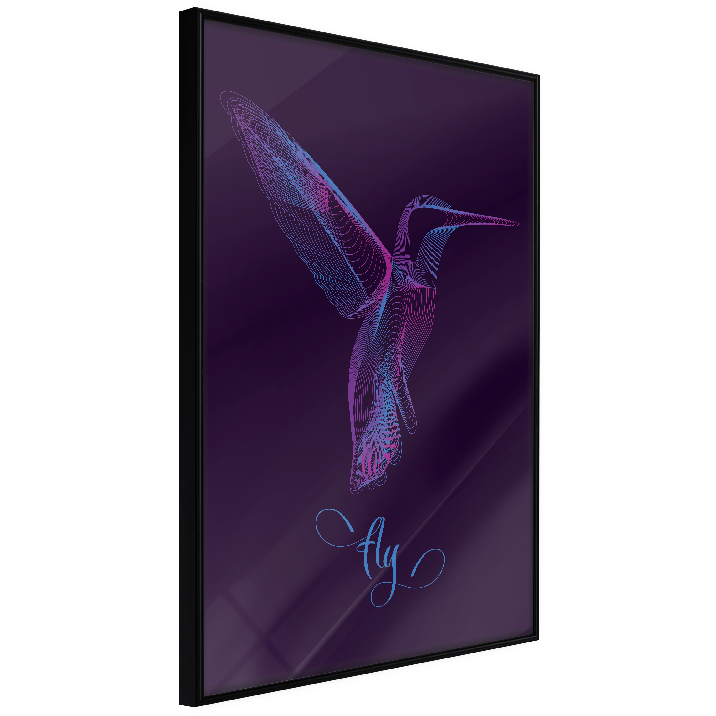 Affisch - Purple Hummingbird [Poster] 30x45 Svart ram, 30x45 cm