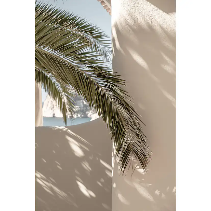 Posters Venture Home Palmleaf Beige