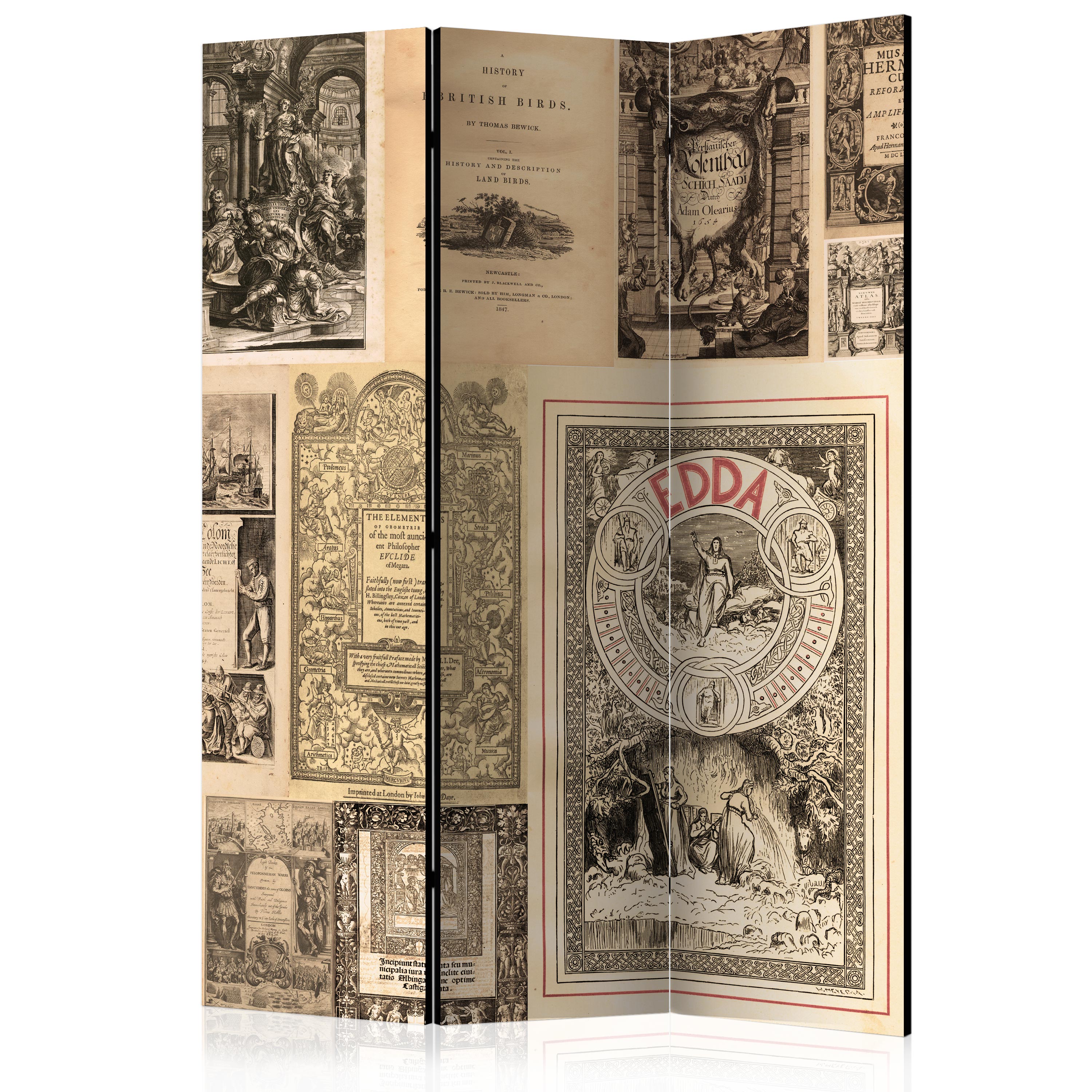 Rumsavdelare Arkiio Vintage Books 135x172 cm
