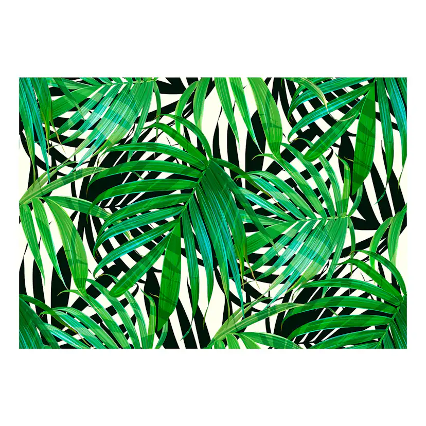 Självhäftande fototapet - Tropical Leaves 343x245 Storlek: 343x245 cm