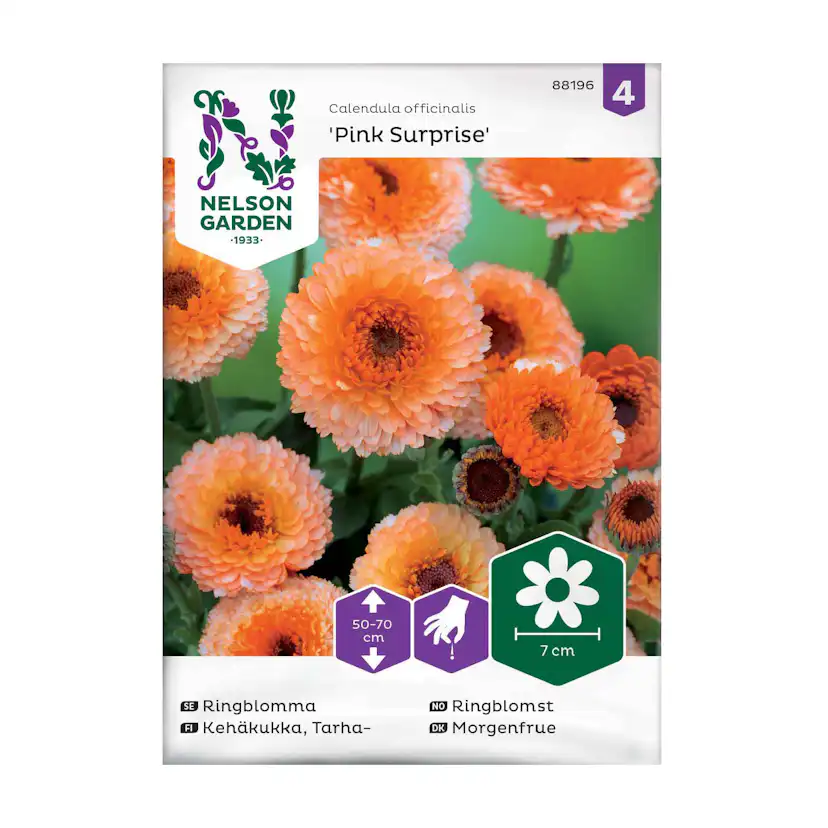 Frö Ringblomma Nelson Garden Pink Surprise