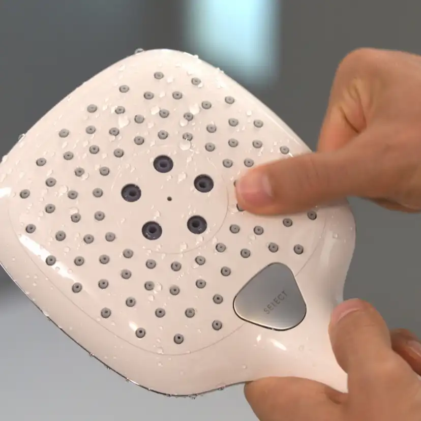 Handdusch Hansgrohe Raindance Select