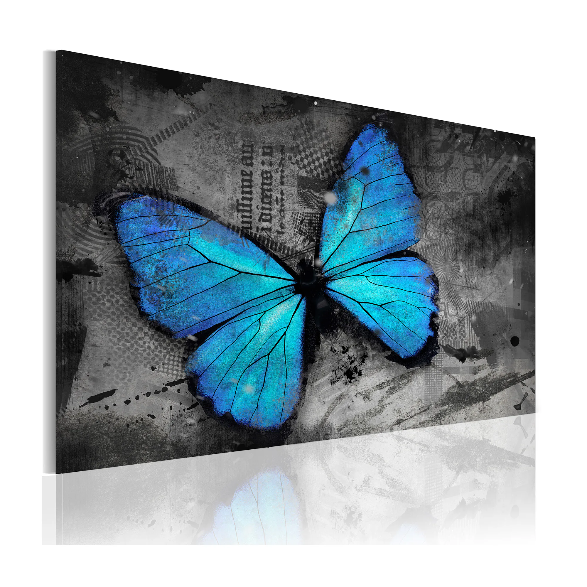 Tavla Arkiio The Study Of Butterfly