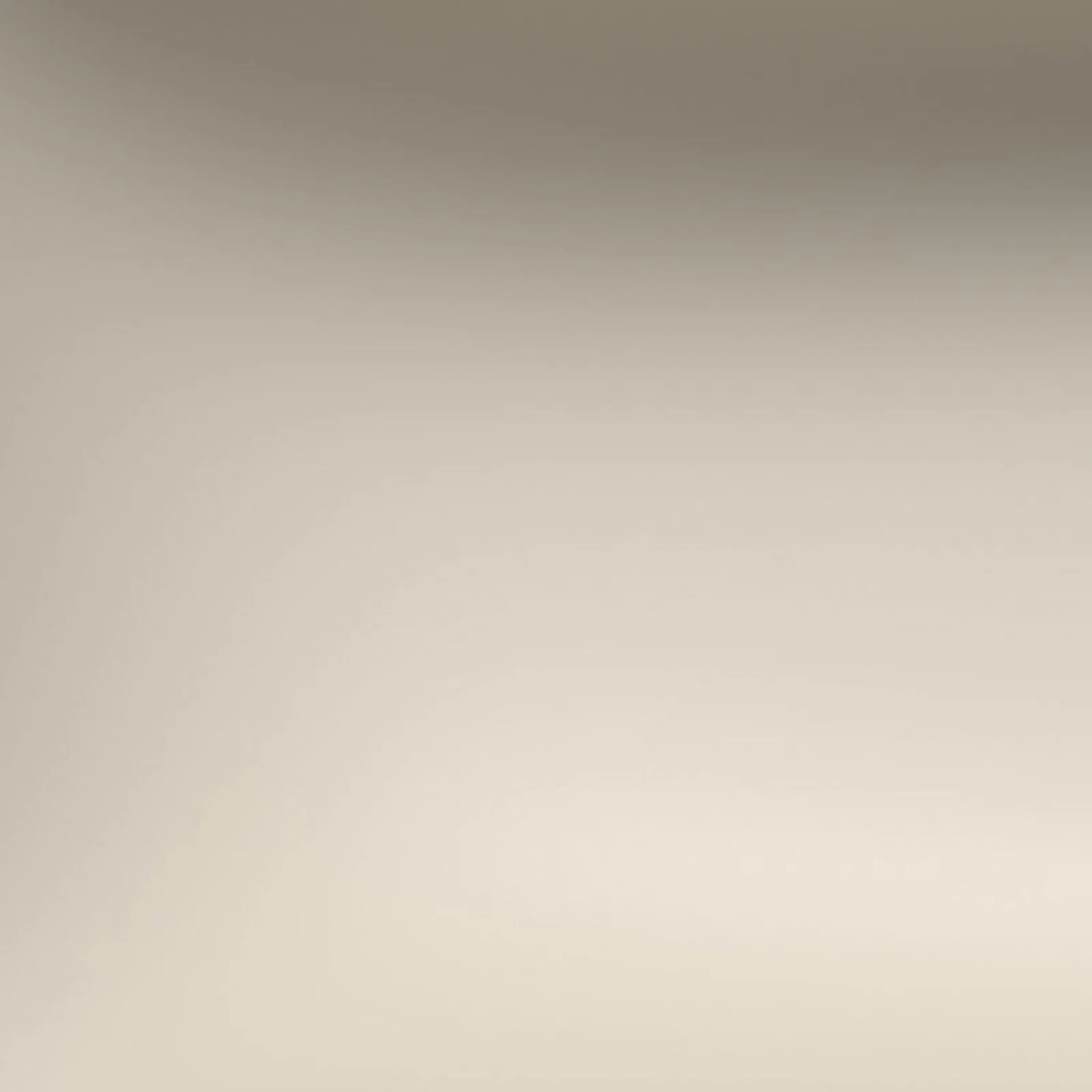 Warm Grey 10