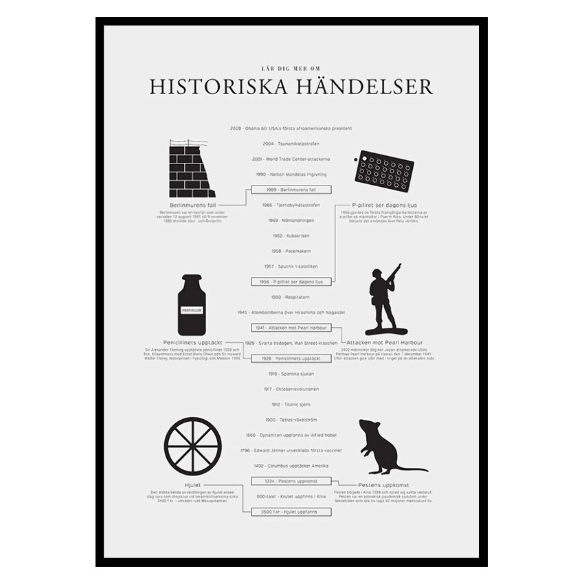 Poster Gallerix Historiska Händelser