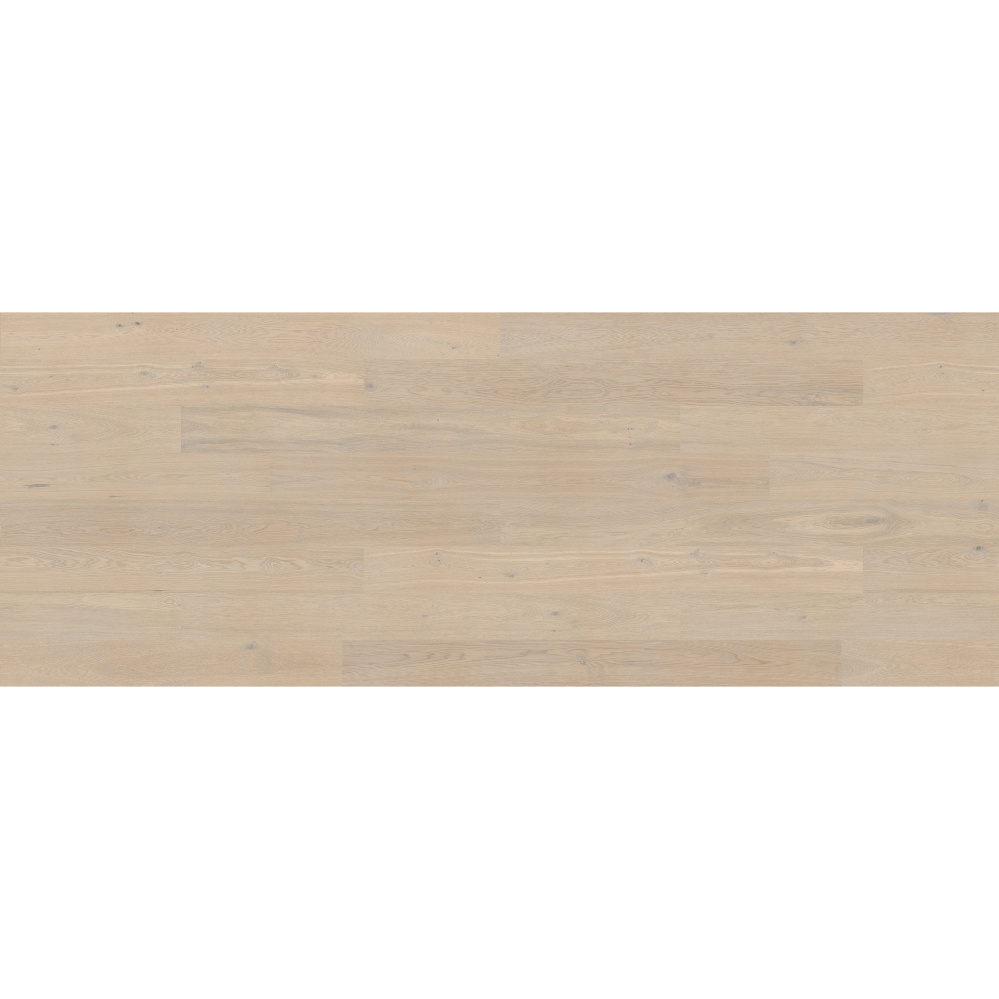 DALBY 3.0 XL