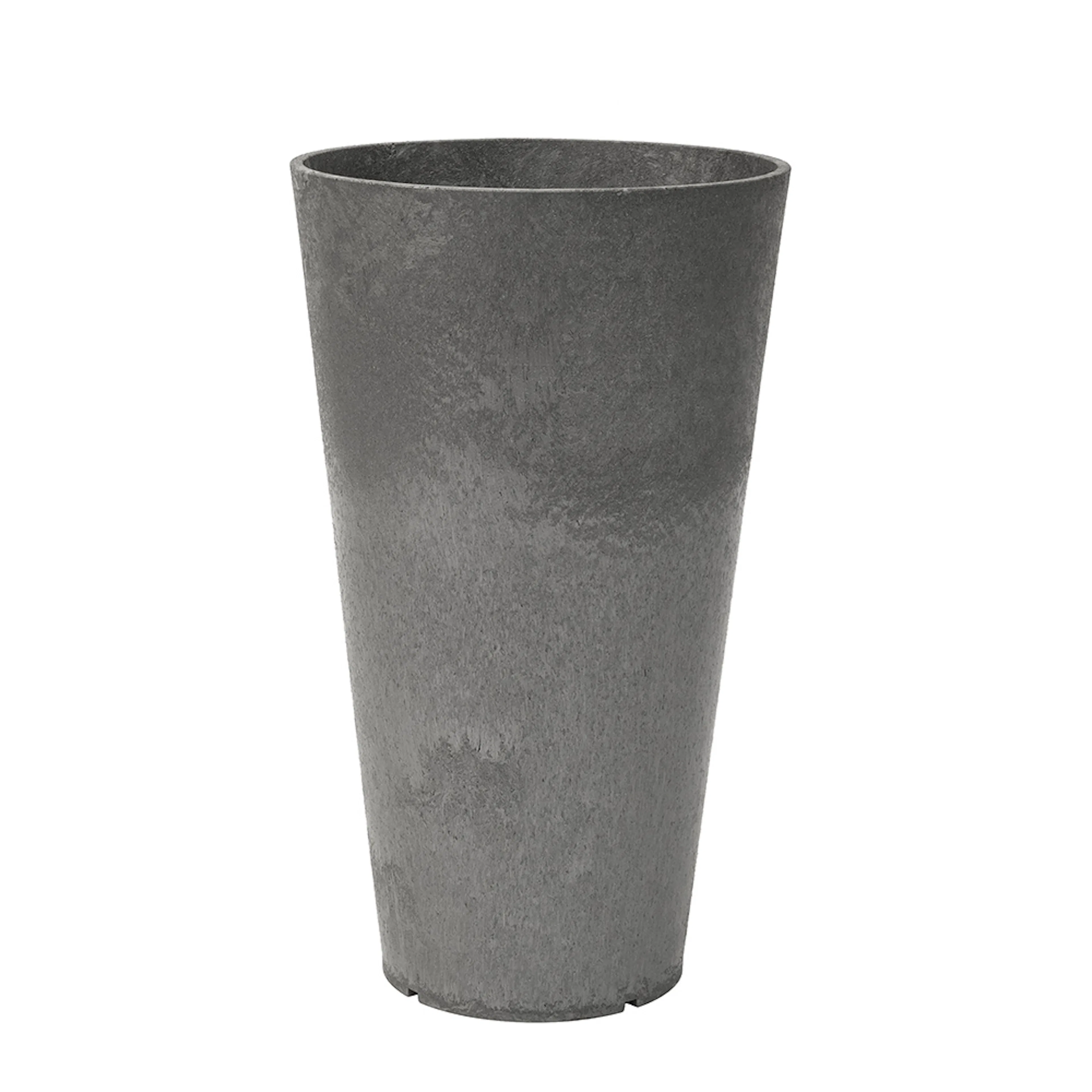 Blomkruka Recal Concerto