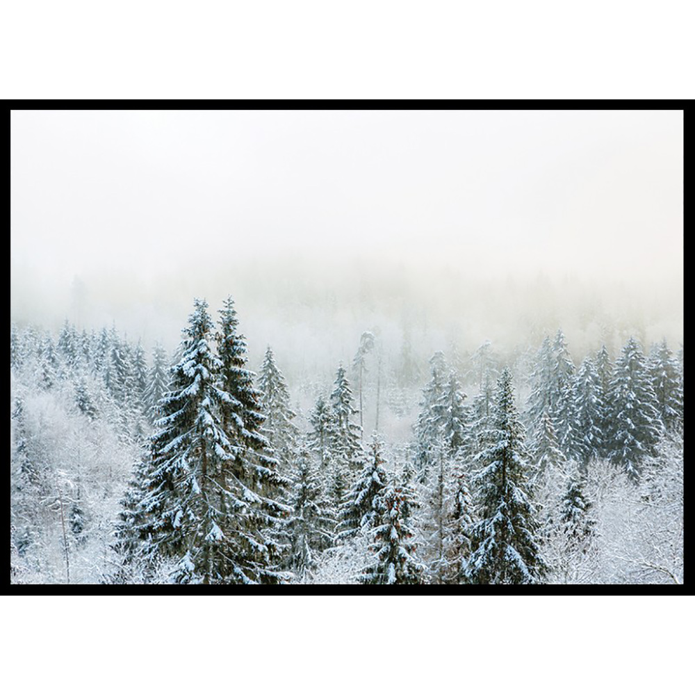 Poster Gallerix Snow Covered Forest
