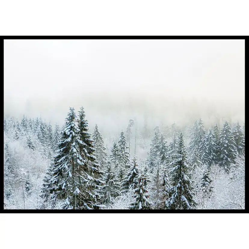Poster Gallerix Snow Covered Forest