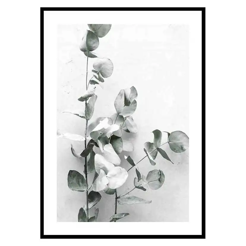 Poster Gallerix Eucalyptus No4