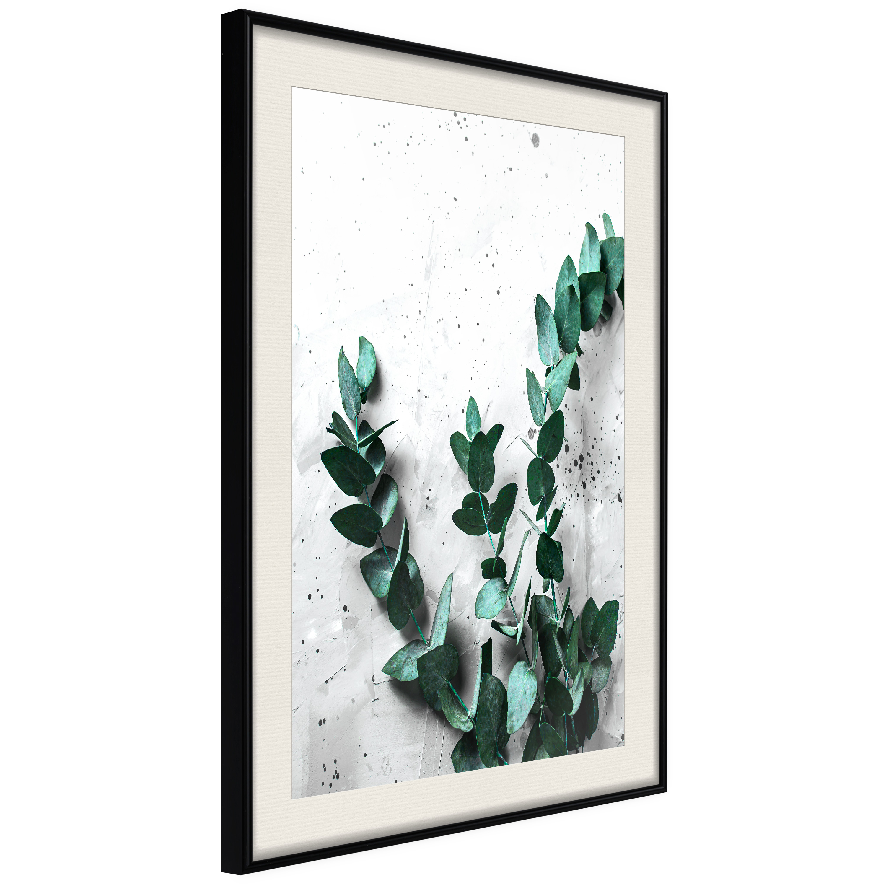Affisch - Eucalyptus Scent [Poster] 40x60 Svart ram med passepartout, 40x60 cm