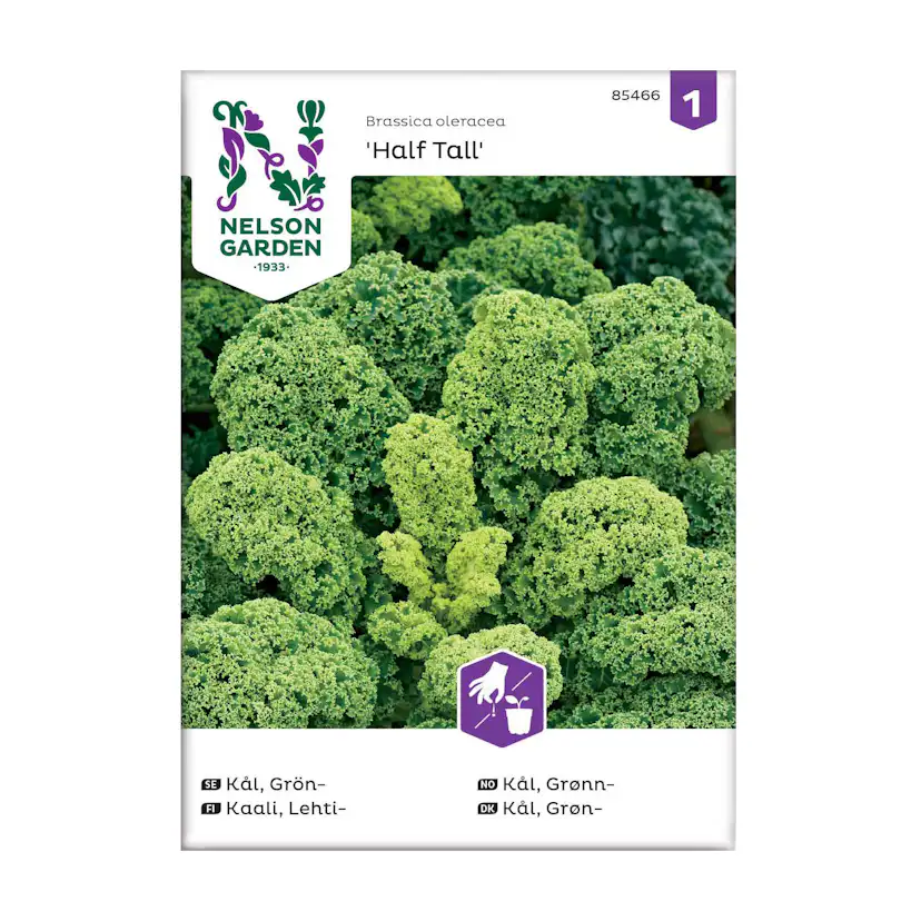 Frö Grönkål Nelson Garden Half Tall