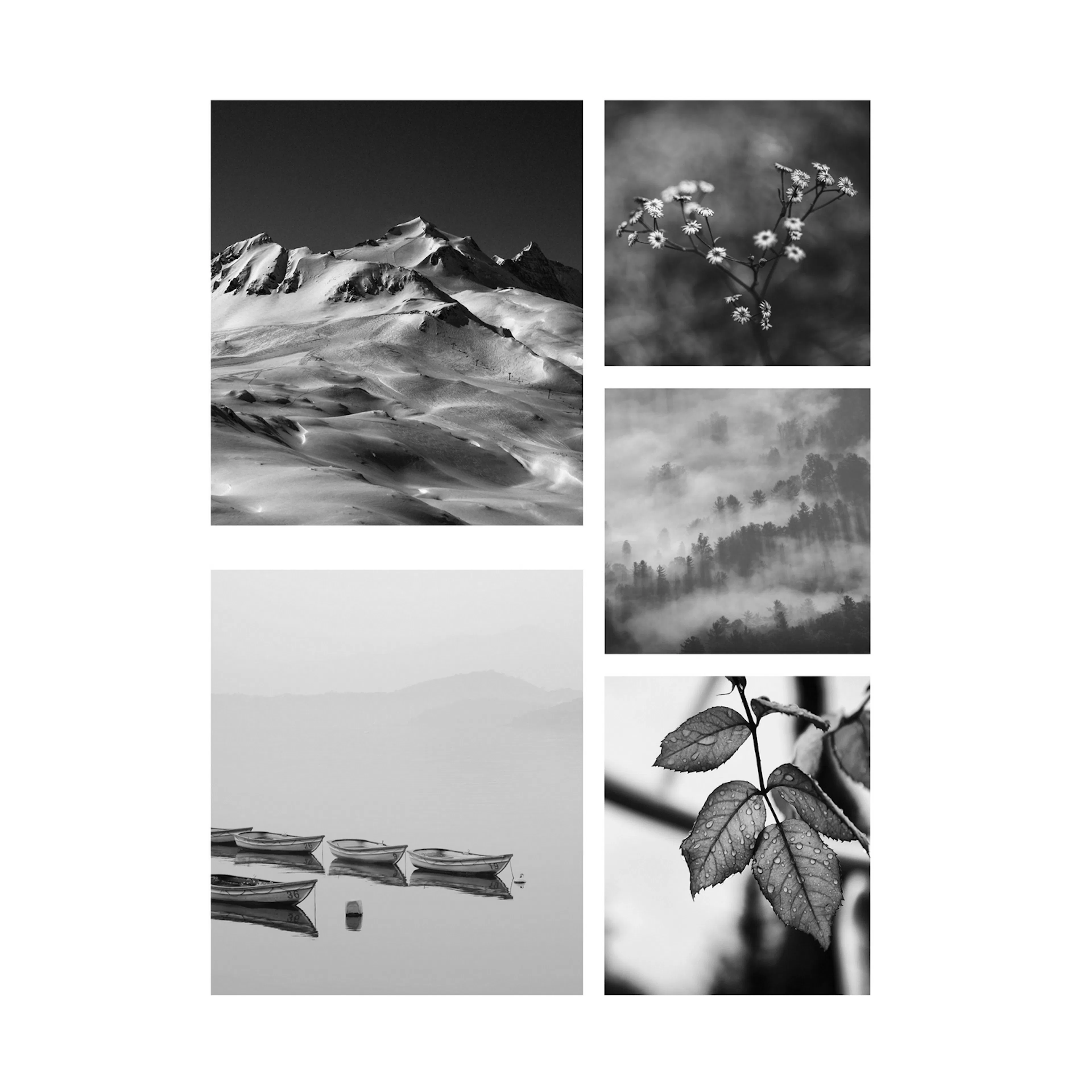 Tavla Art For The Home 5 Delar Tystnad Svartvitt