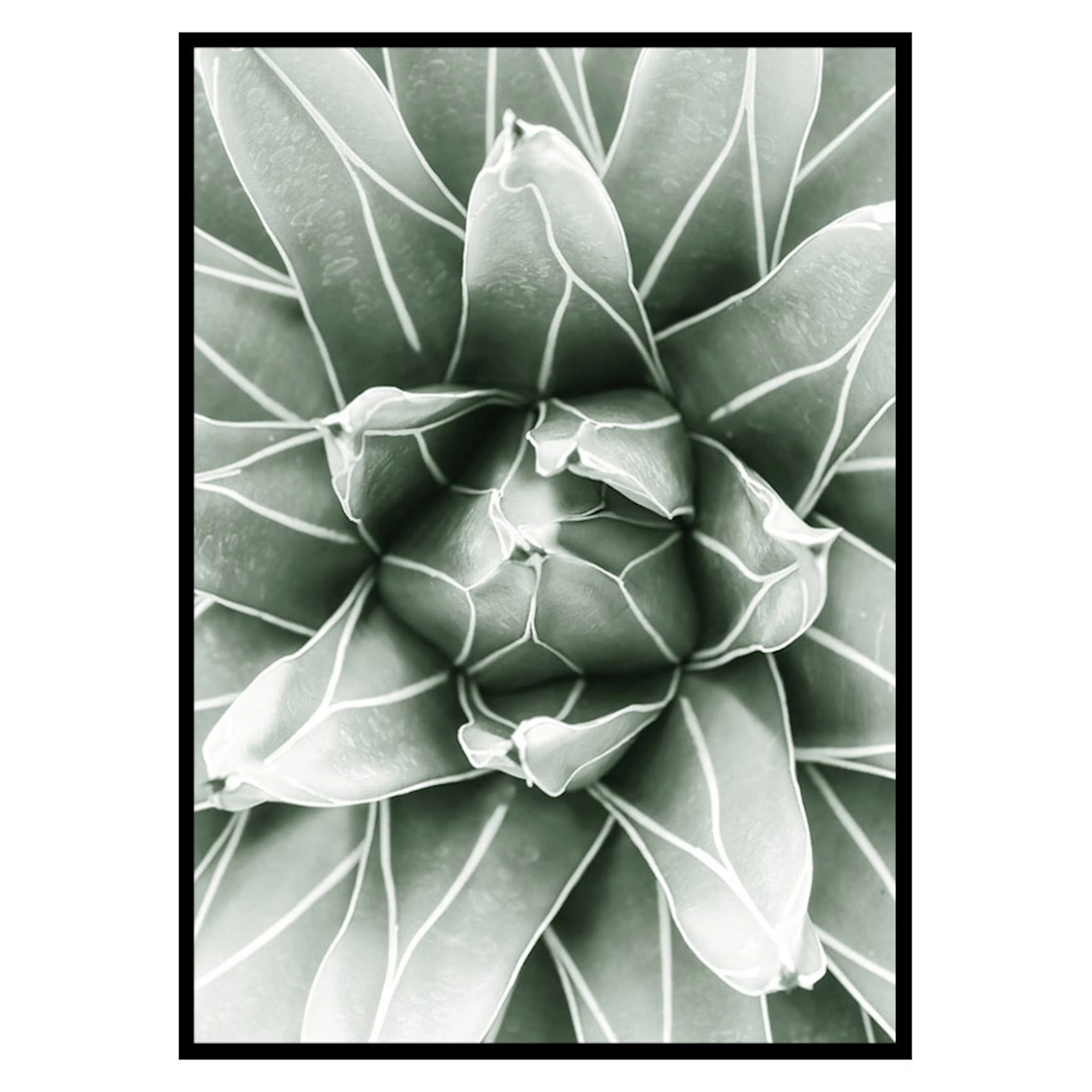Poster Gallerix Bright Green Botanical No1