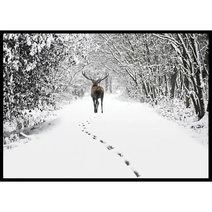 Poster Gallerix Deer Forest Walk