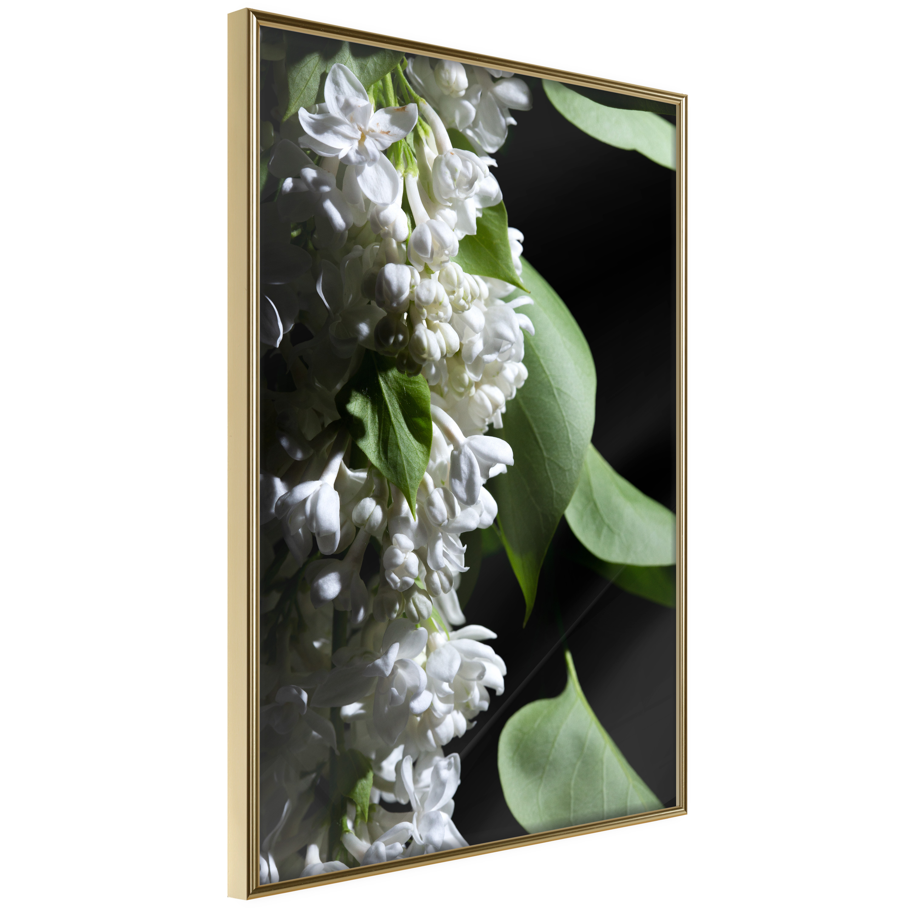 Affisch - Lilacs Detail [Poster] 20x30 Guld ram, 20x30 cm
