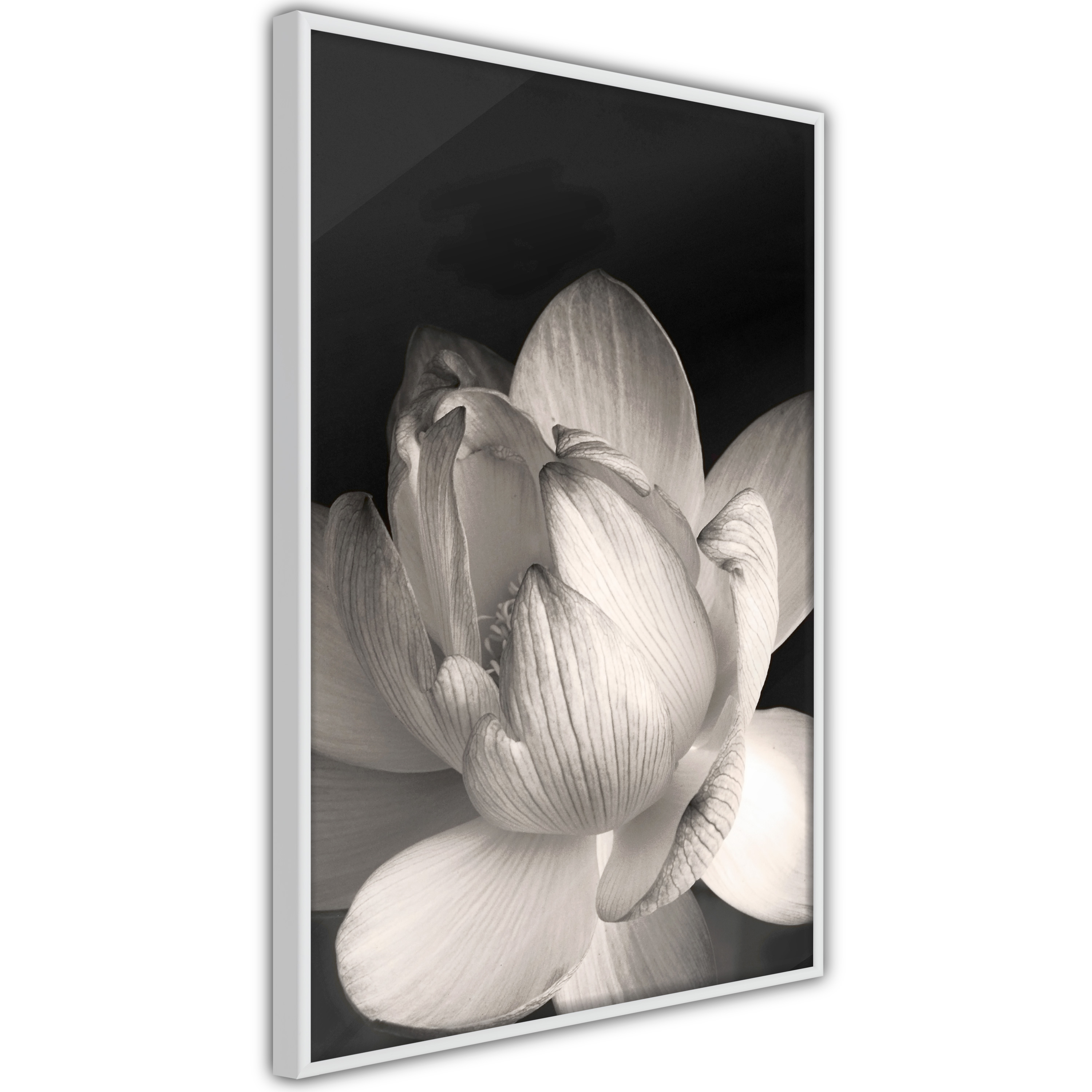 Poster Artgeist Affisch White Subtlety