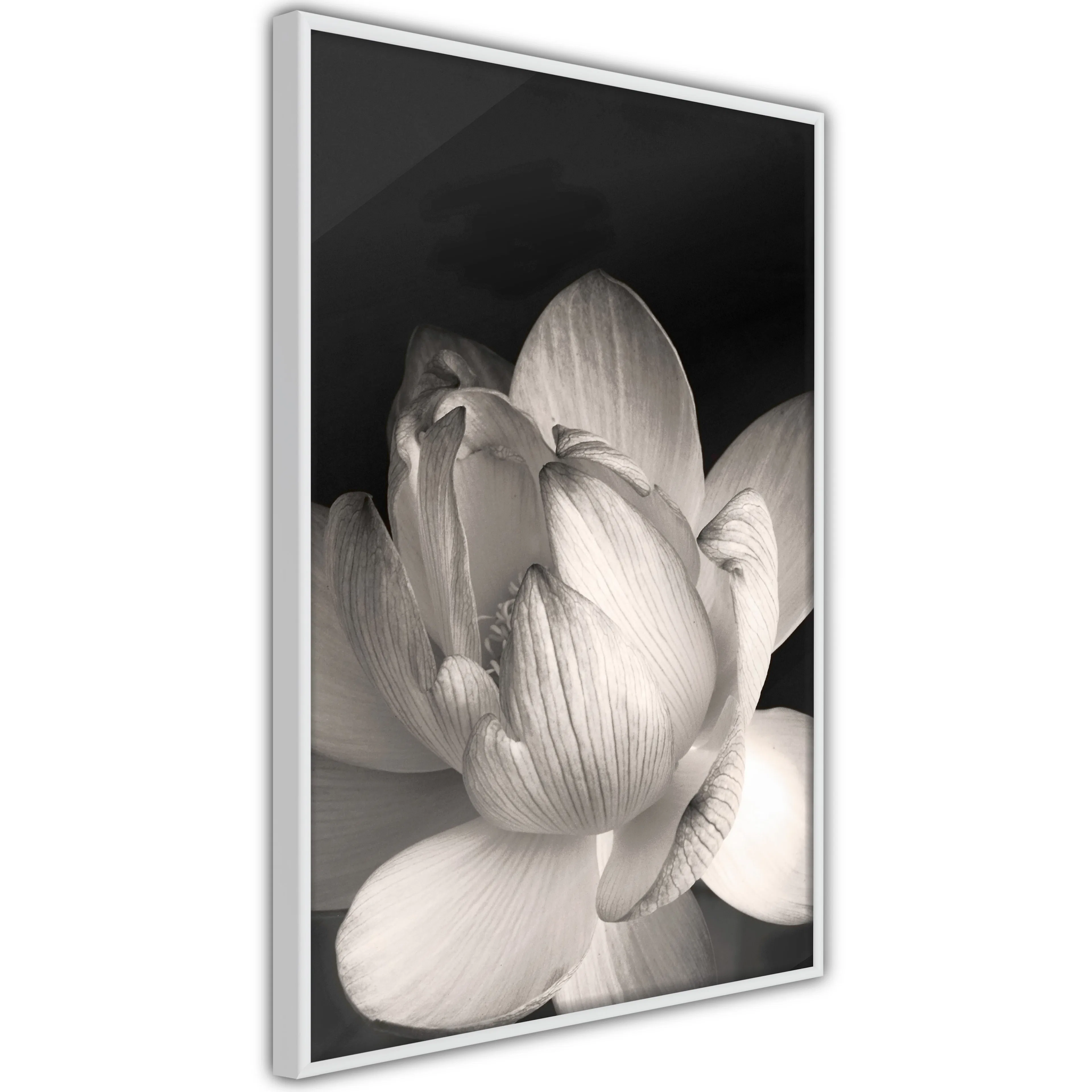 Poster Artgeist Affisch White Subtlety