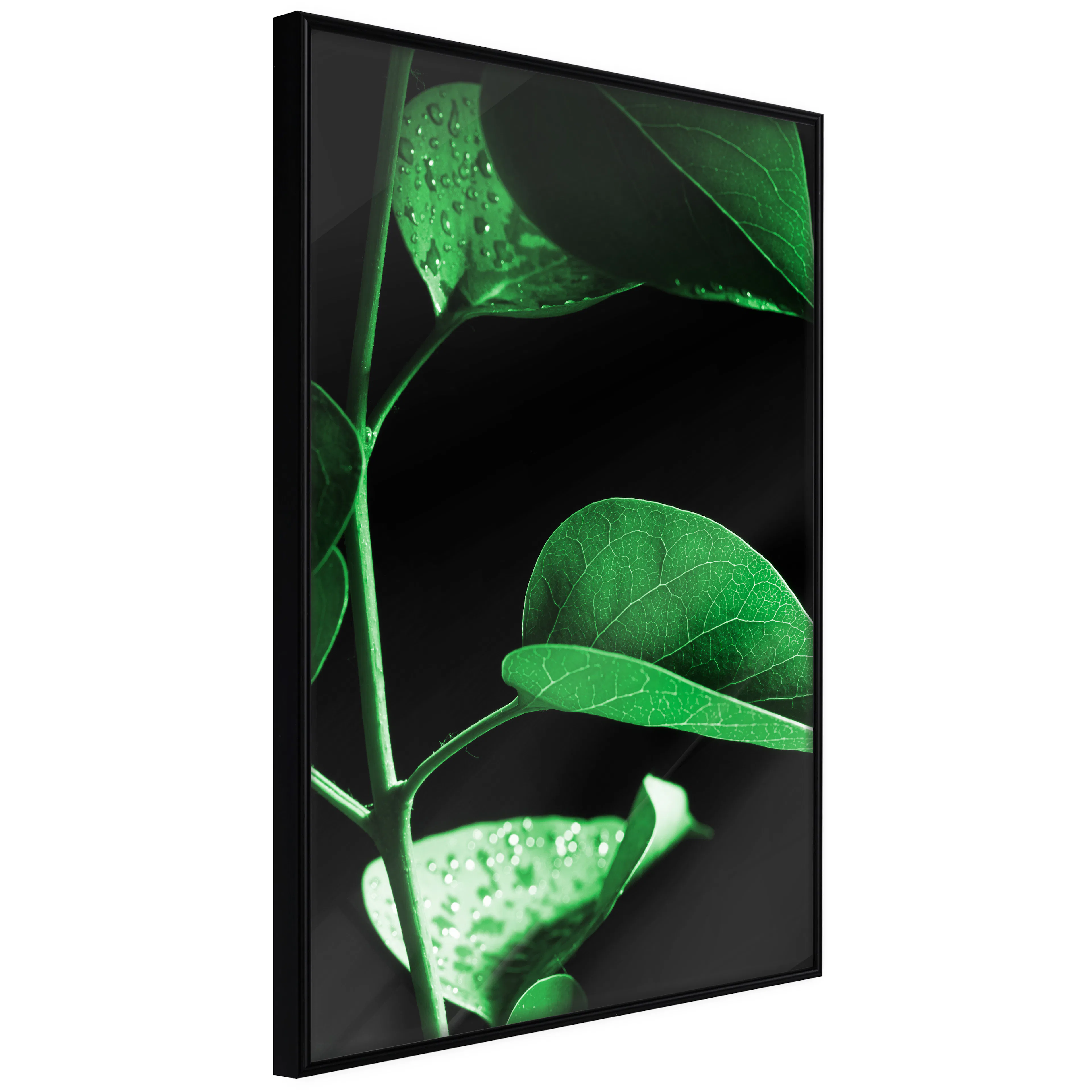Affisch - Plant in Black [Poster] 40x60 Svart ram, 40x60 cm