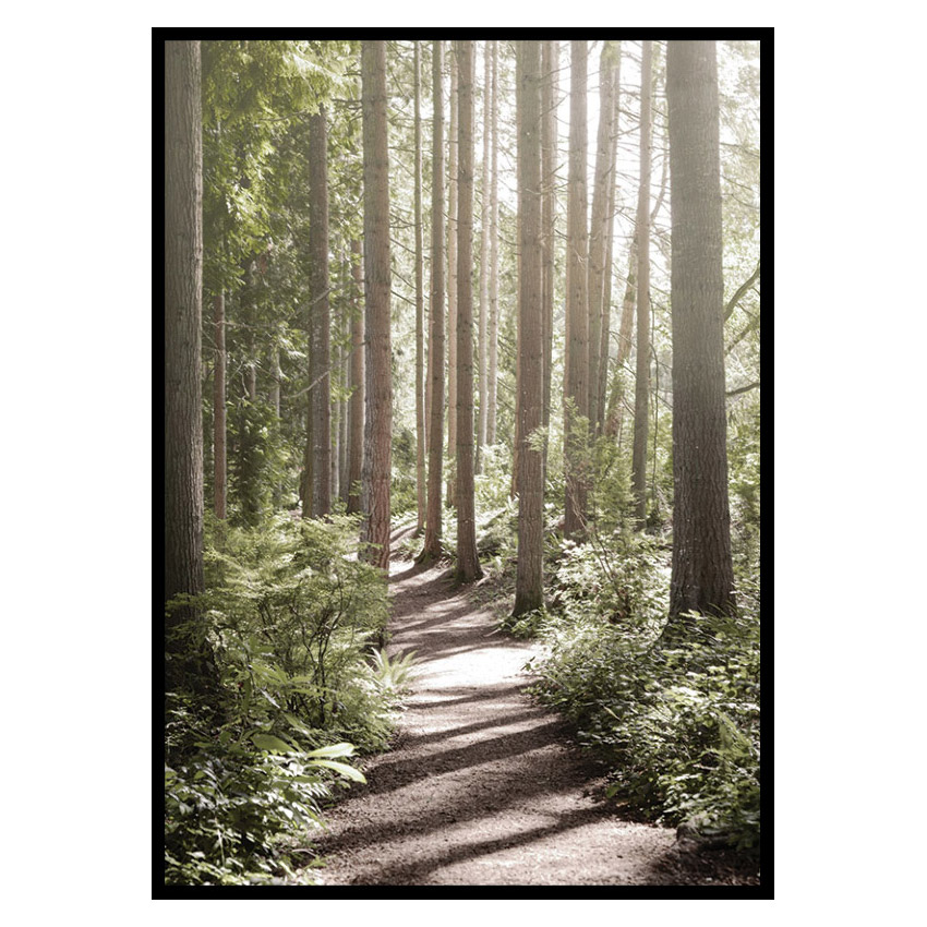 Poster Gallerix Green Forest