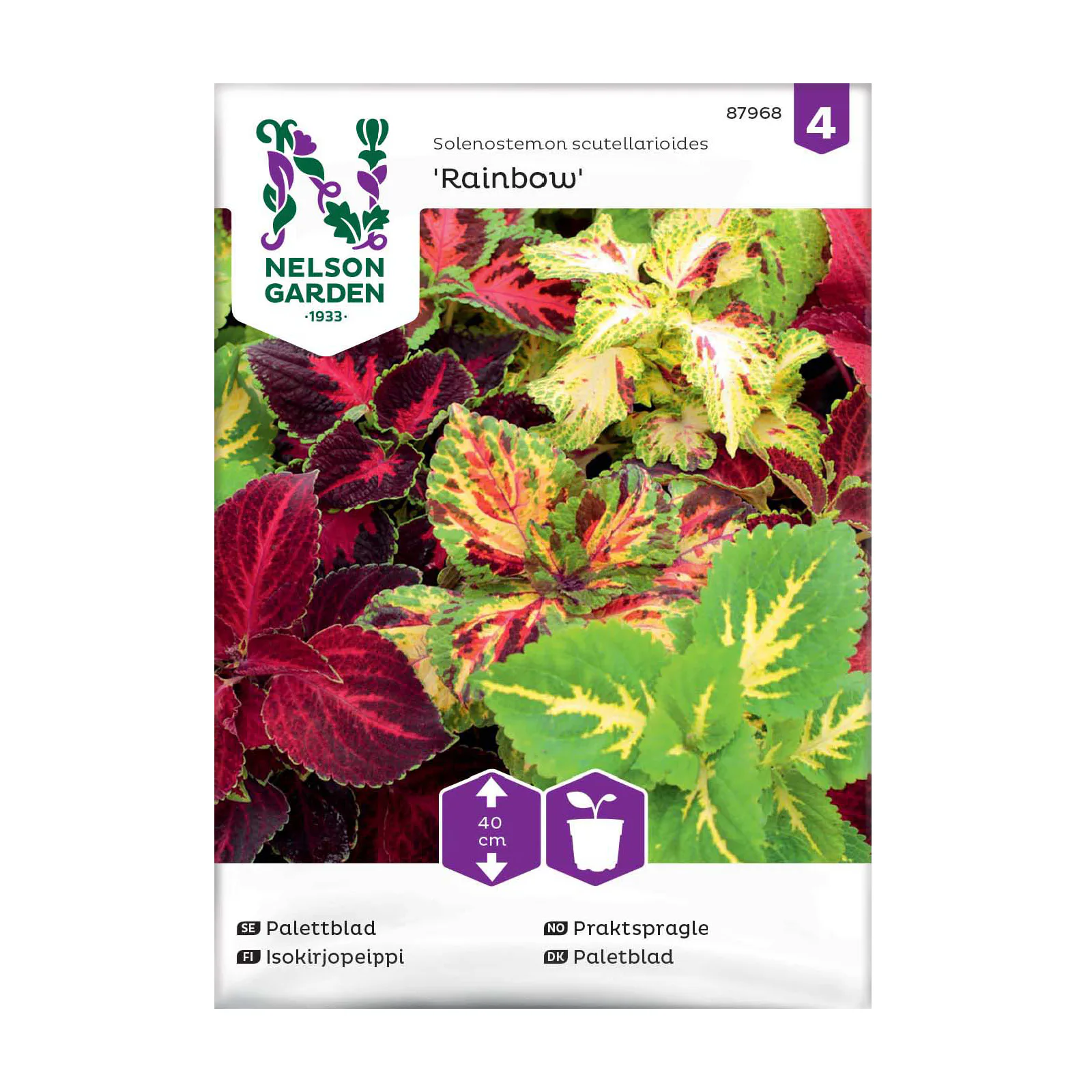 Frö Palettblad Nelson Garden Rainbow Mix