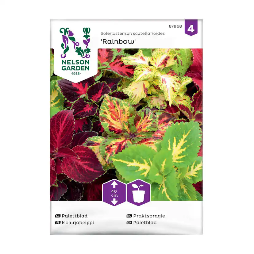 Frö Palettblad Nelson Garden Rainbow Mix