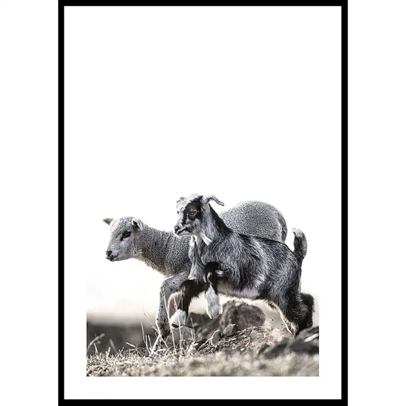 Poster Gallerix Kid And Lamb