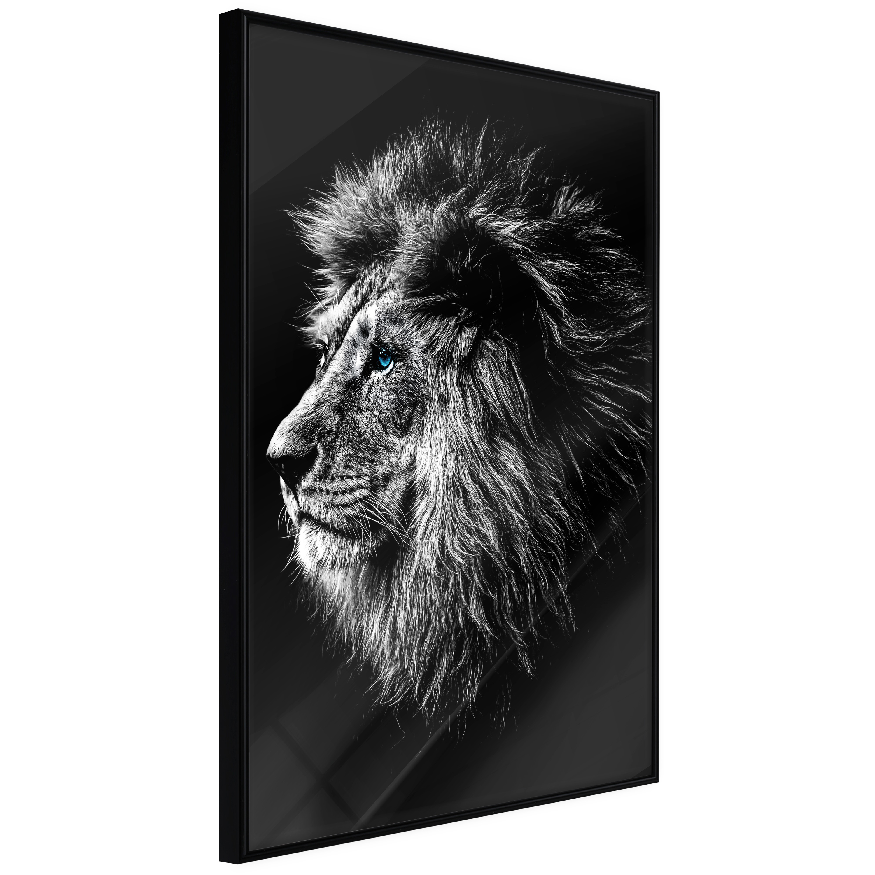 Poster Artgeist Affisch Blue-eyed Lion