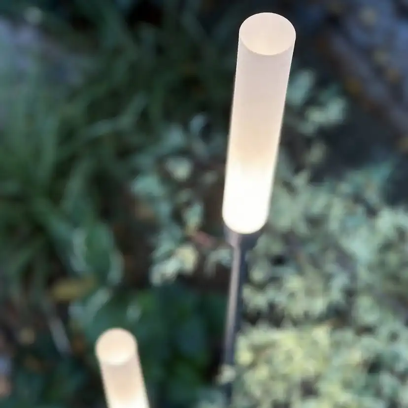 Dekorationsbelysning LightsOn Frost