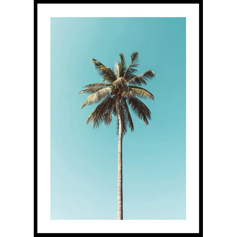 Palm Tranquility 50x70 50x70 cm