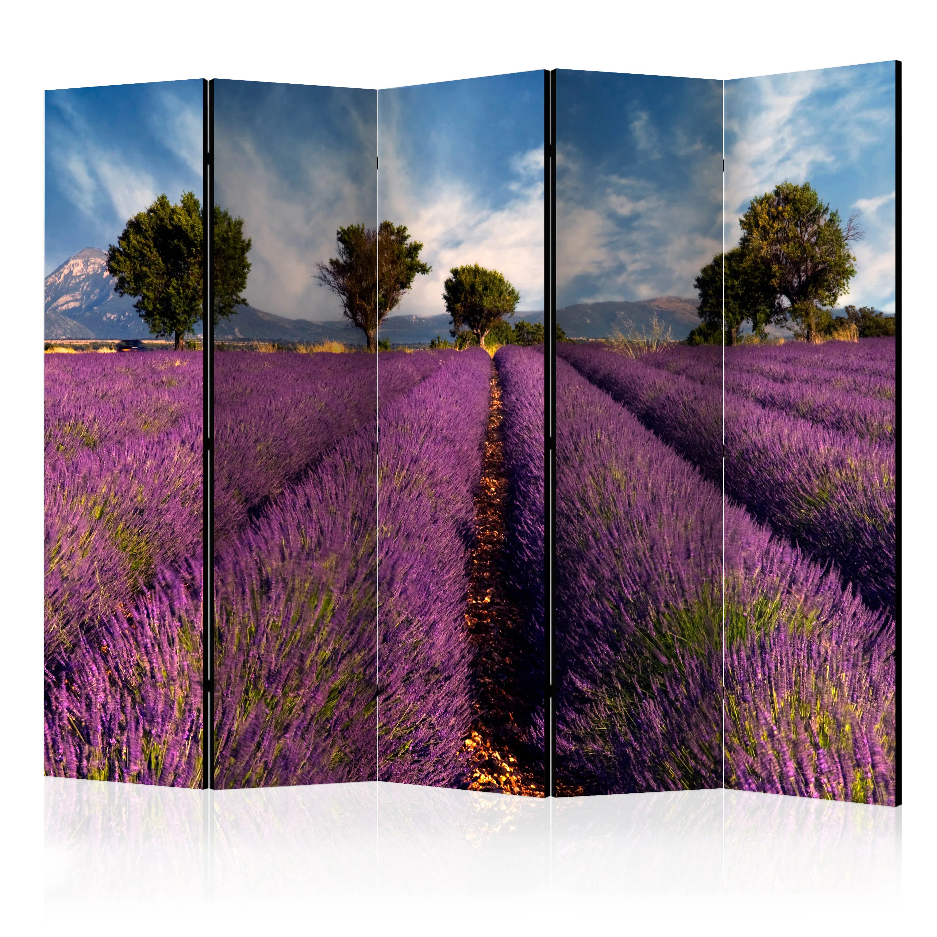 Rumsavdelare Arkiio Lavender Field in Provence France II 225x172 cm