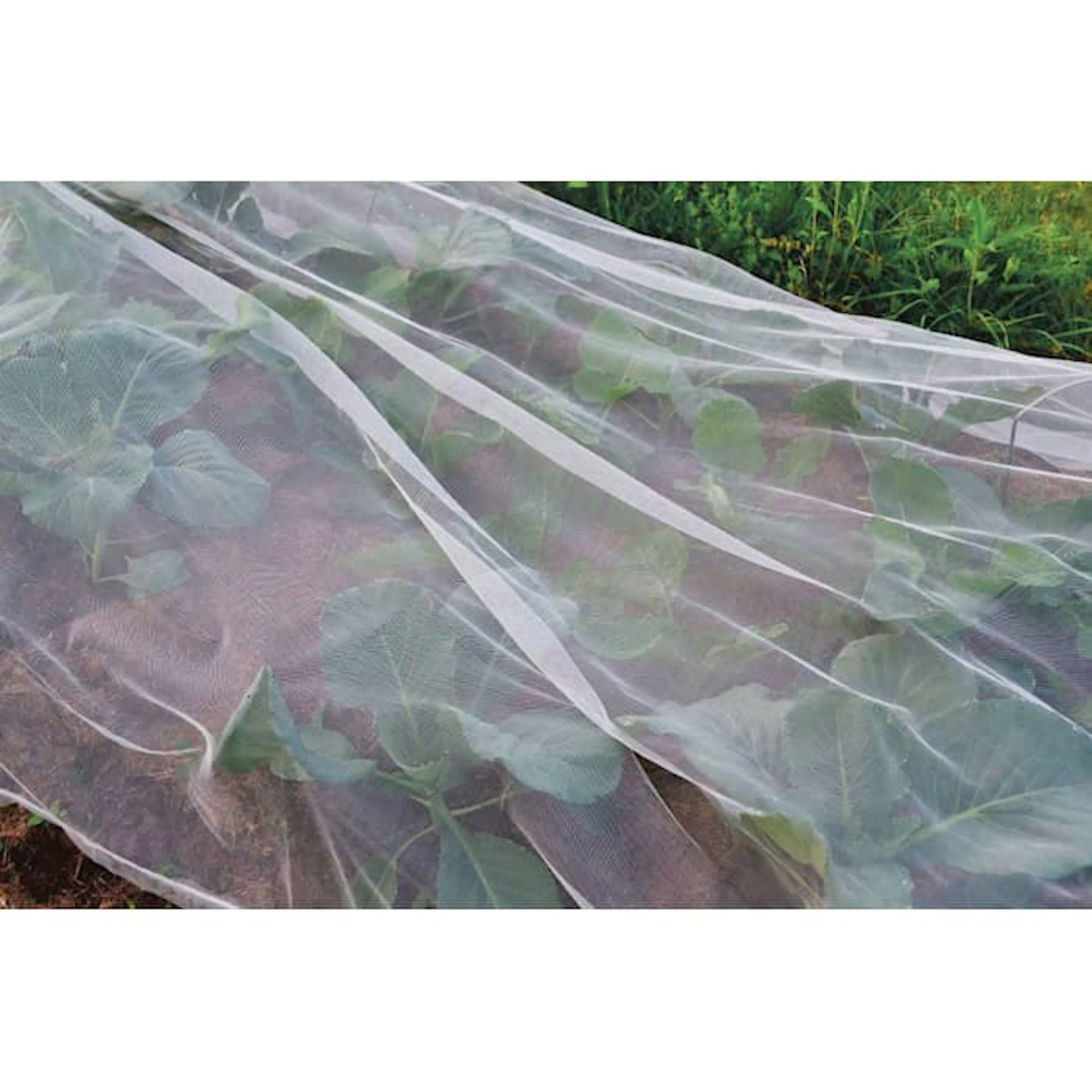 Ryom Kålnät/Insektsnät - flera stor 2x5 m