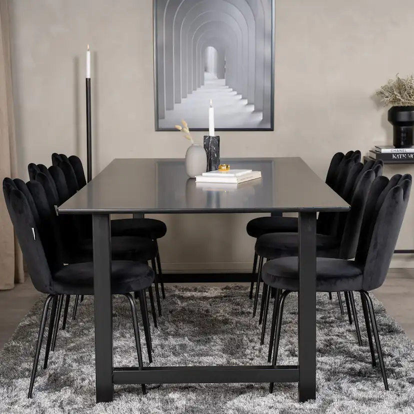 Matgrupp furniture/fashion Clara med 6 Limhamn Light Stolar