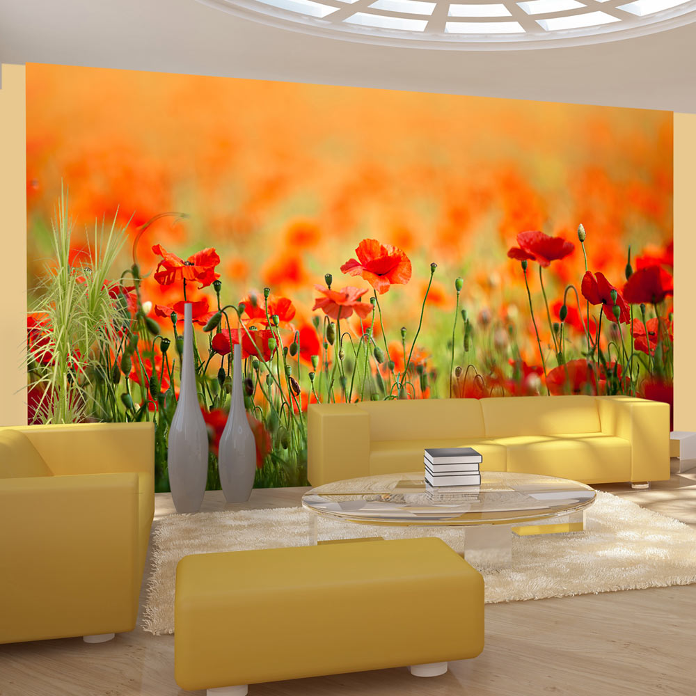 Fototapet Arkiio Vallmo i skinande sommardag 450x270 cm
