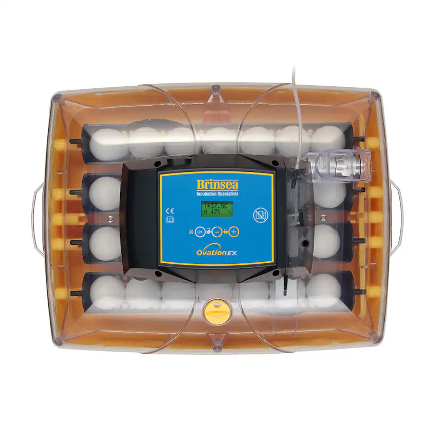 Äggkläckare Brinsea Ovation 28 EX