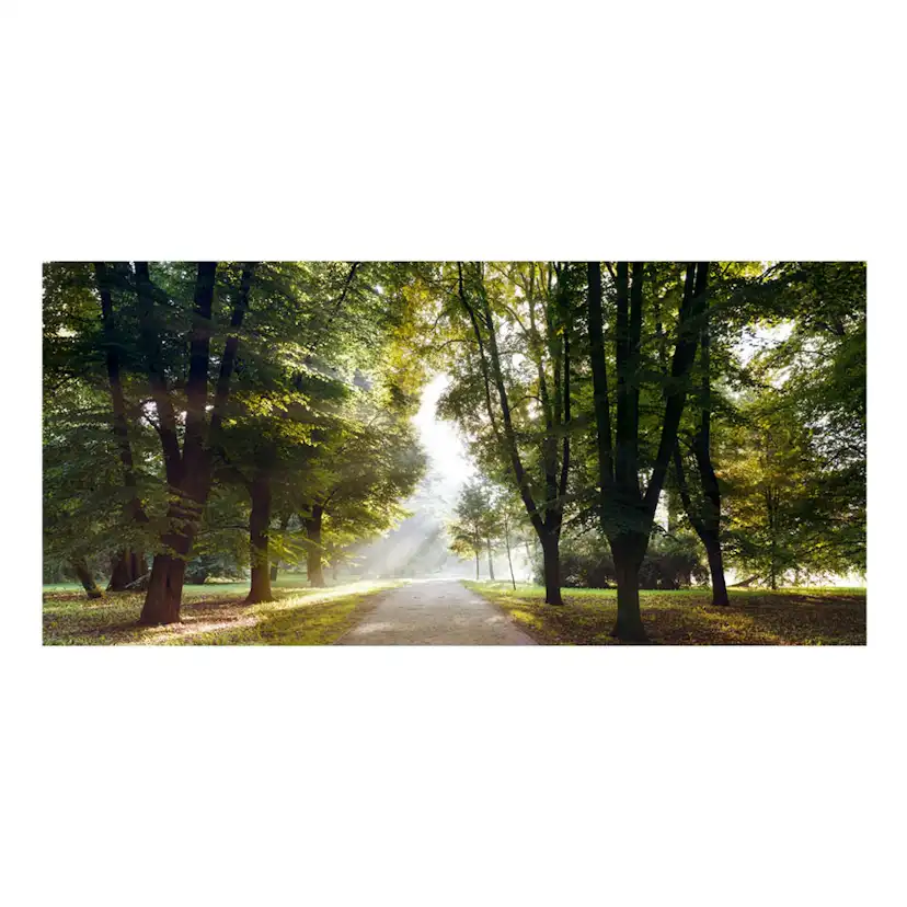 Fototapet Arkiio Självhäftande Morning Walk III 588x280