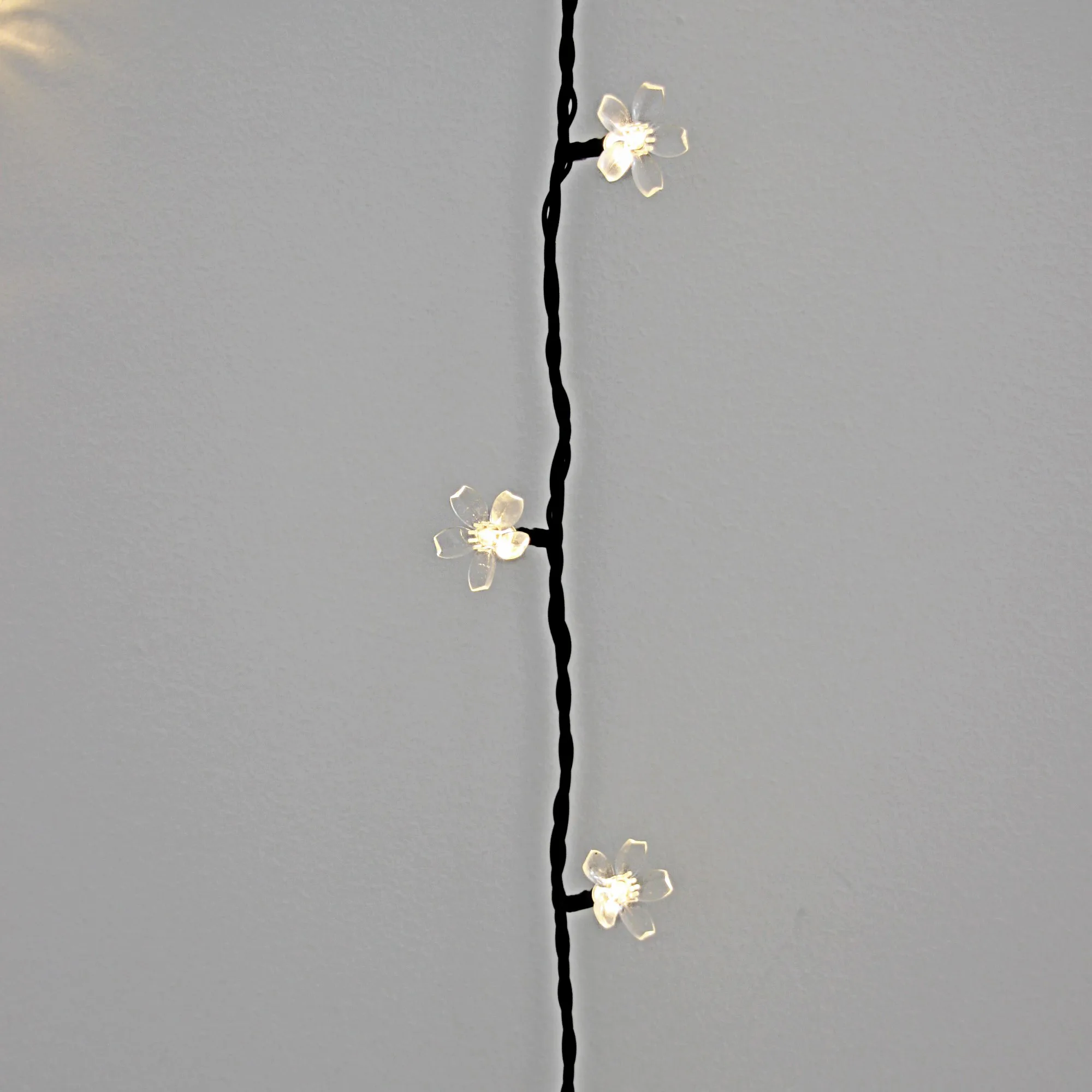 Ljusslinga LightsOn Bloom, Svart