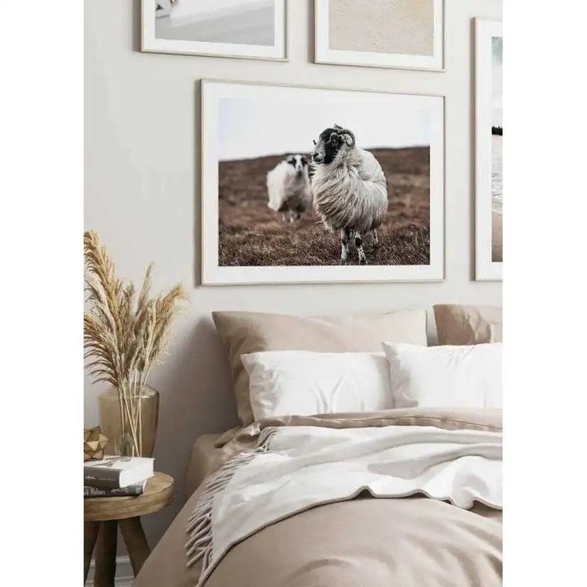 Farm Sheep 70x100 cm