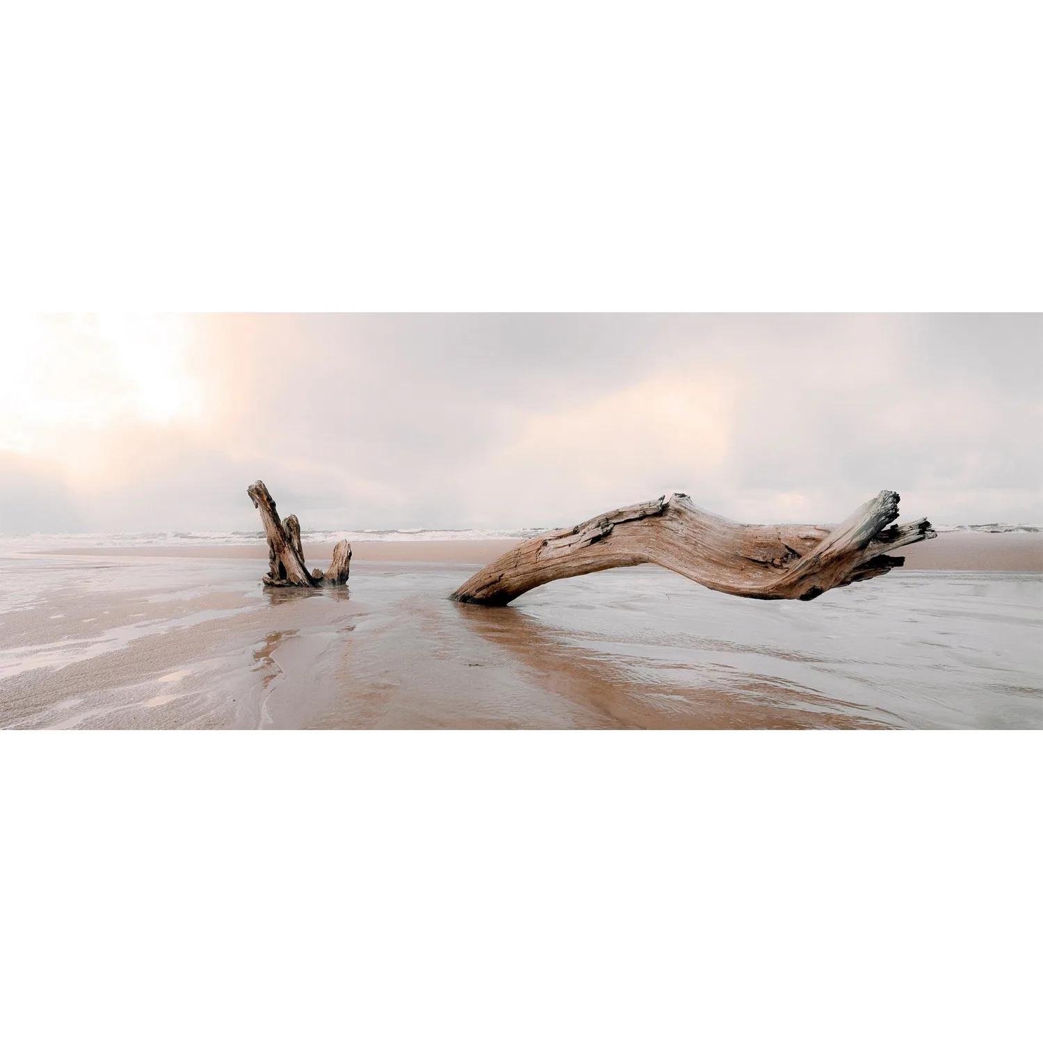 Tavla Art for the Home Drivved