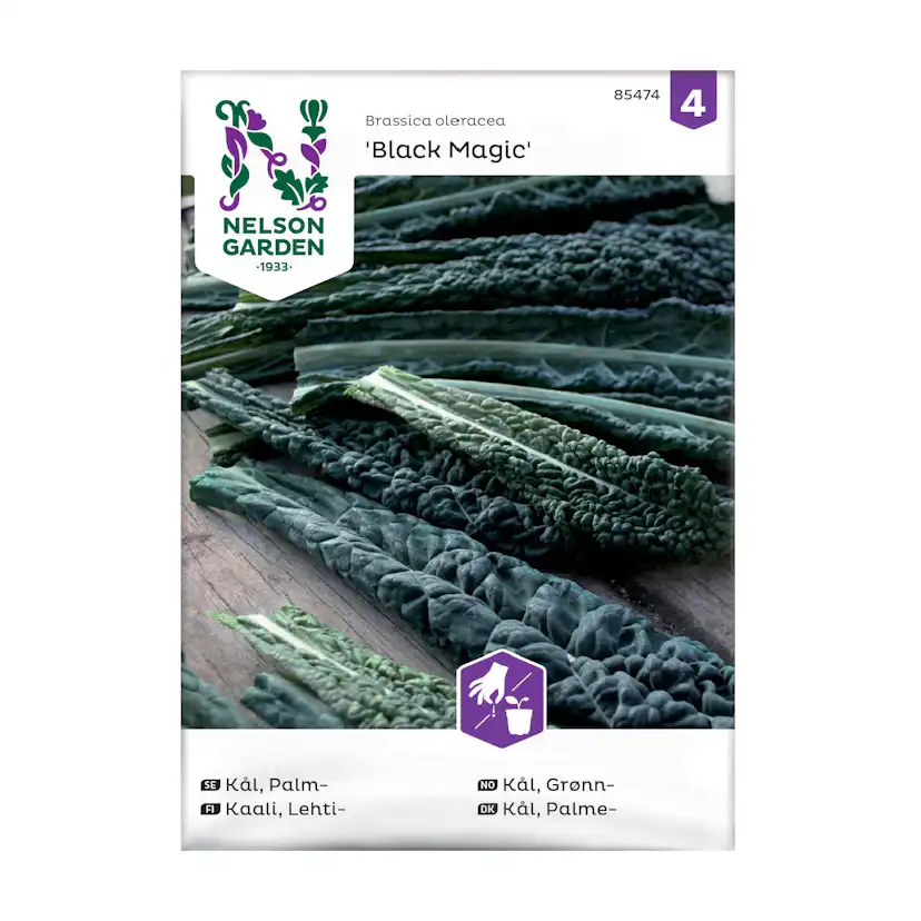 Frö Palmkål Nelson Garden Black Magic