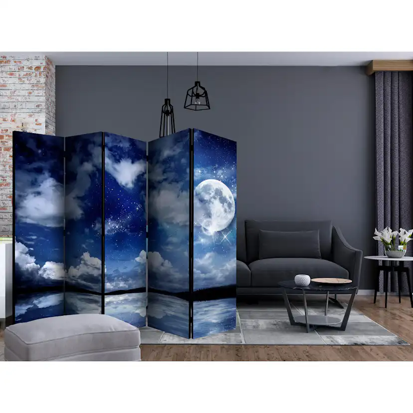 Rumsavdelare Arkiio Magic Night II 225x172 cm