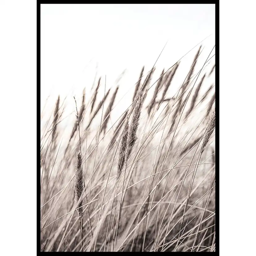 Poster Gallerix Boho Dried In Nature No1