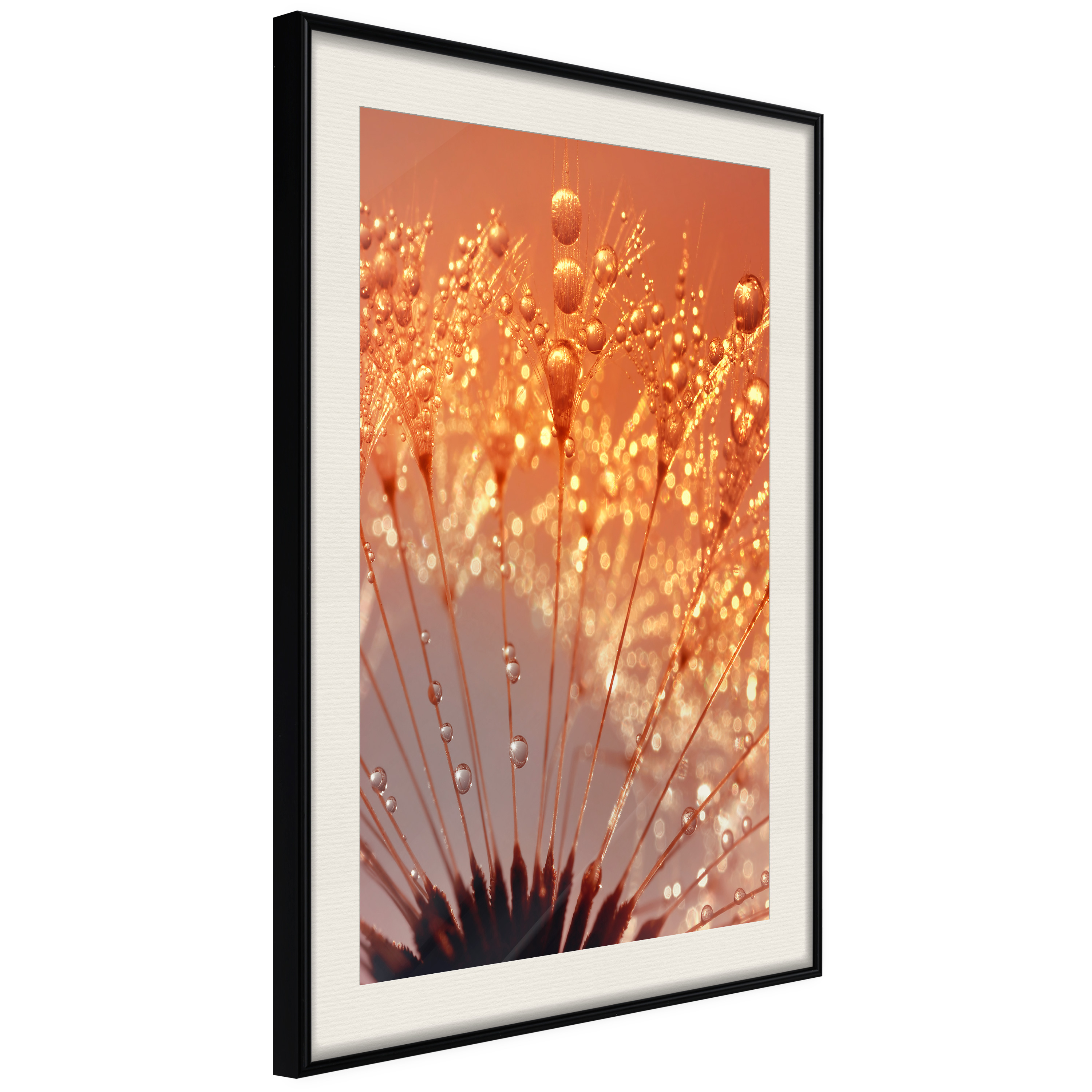 Affisch - Autumn Dandelion [Poster] 30x45 Svart ram med passepartout, 30x45 cm