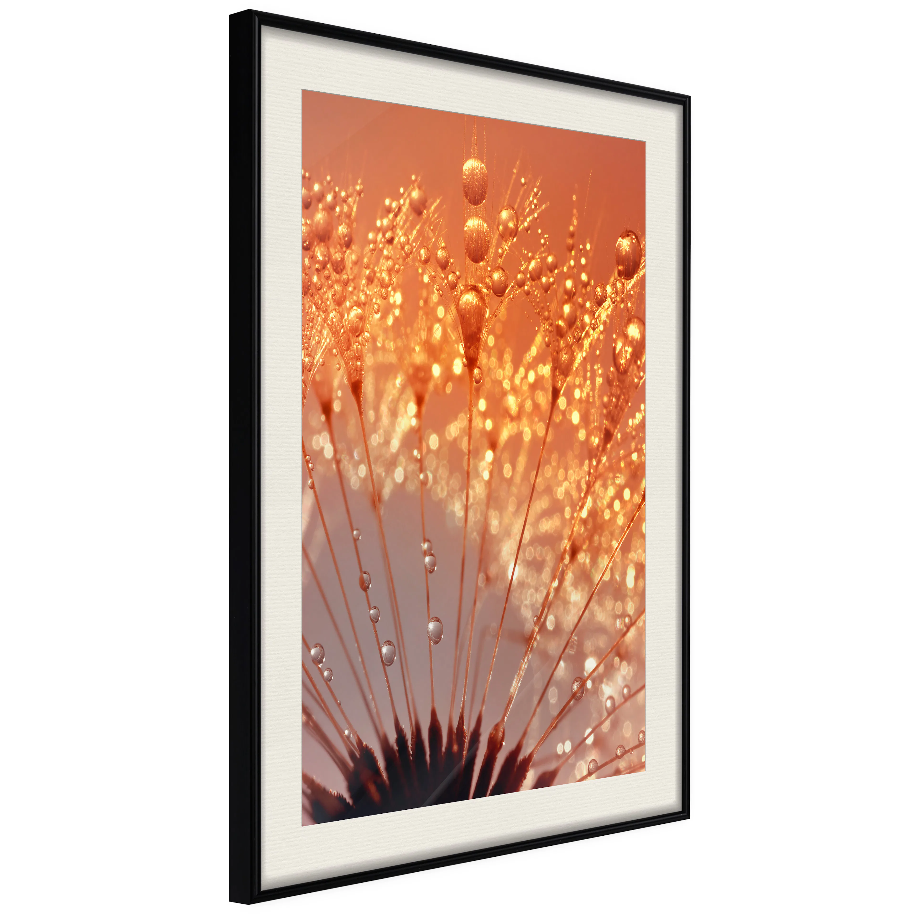 Poster Artgeist Affisch Autumn Dandelion