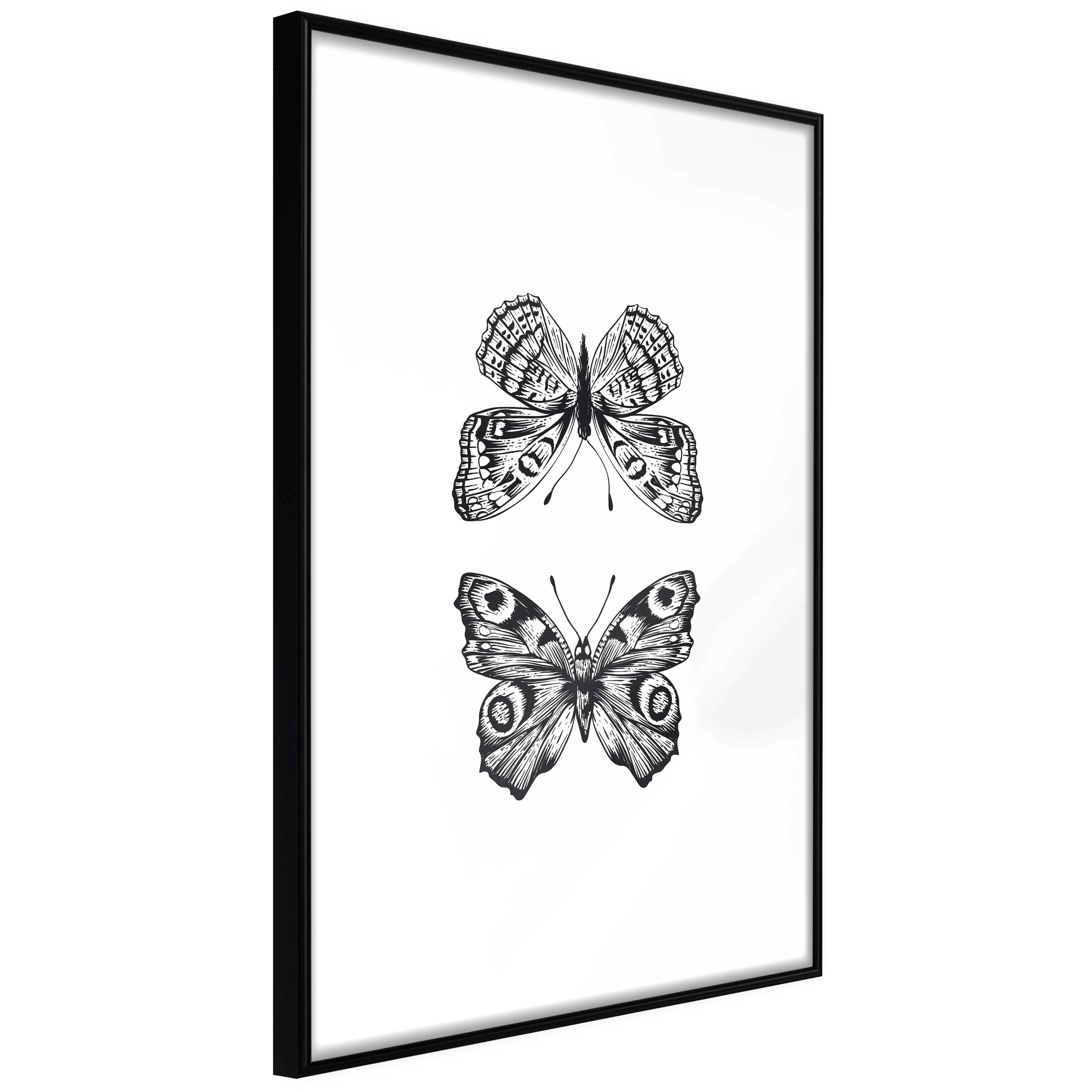 Affisch - Two Butterflies [Poster] 20x30 Svart ram, 20x30 cm