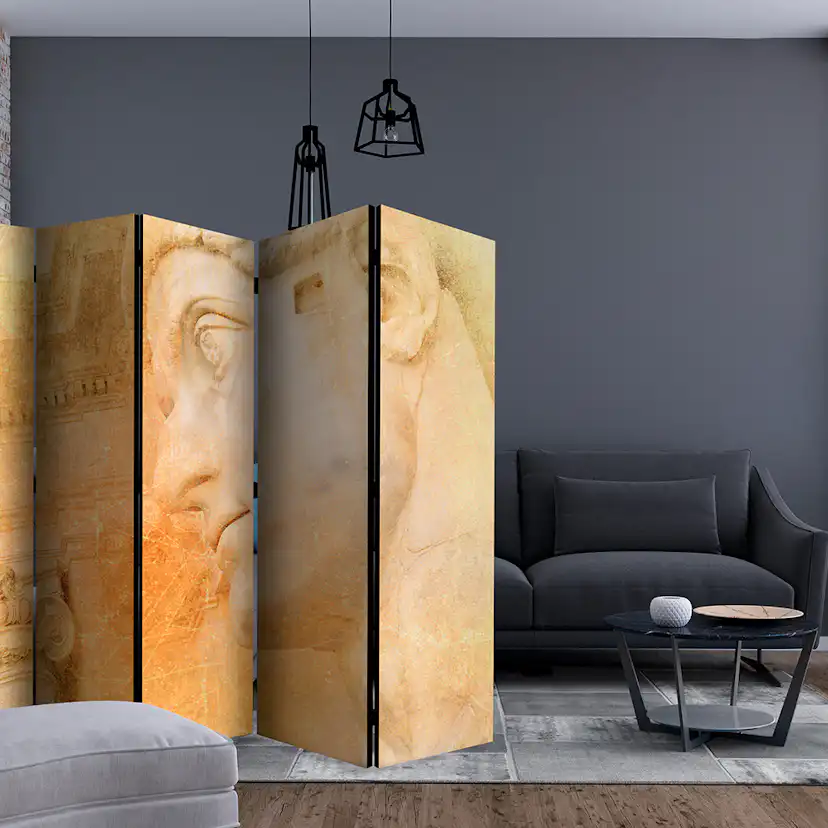 Rumsavdelare Arkiio Greek God II 225x172 cm