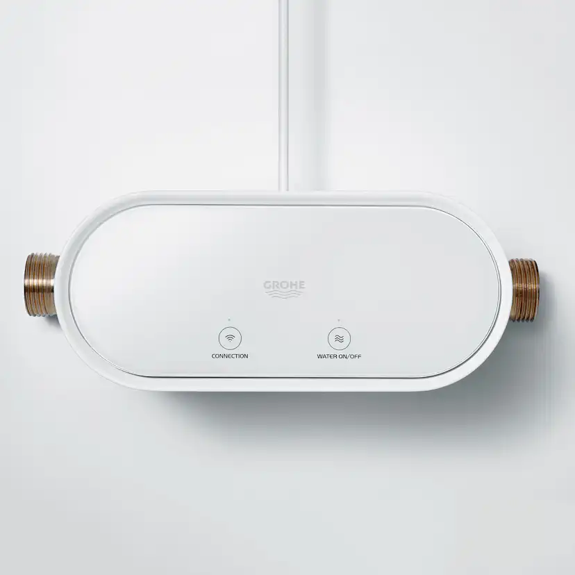 Vattenfelsbrytare Grohe Sense Guard 22500
