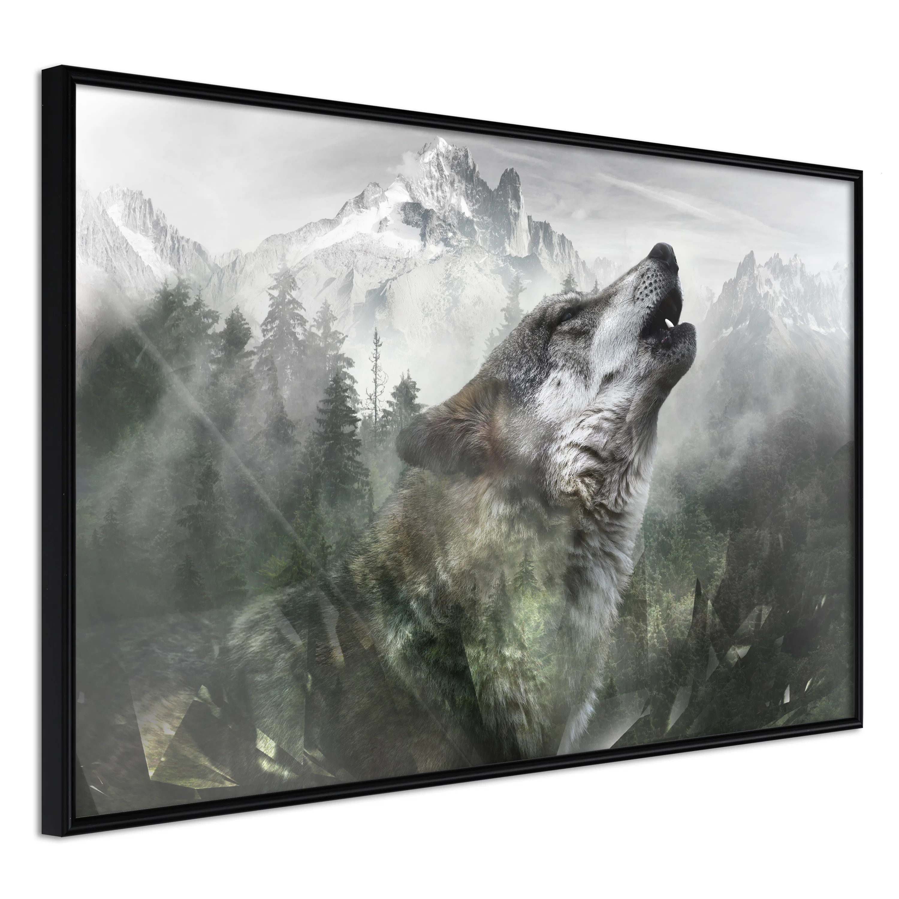 Poster Artgeist Affisch Howling Wolf