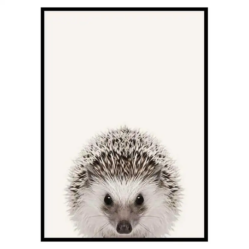 Poster Gallerix Baby Hedgehog
